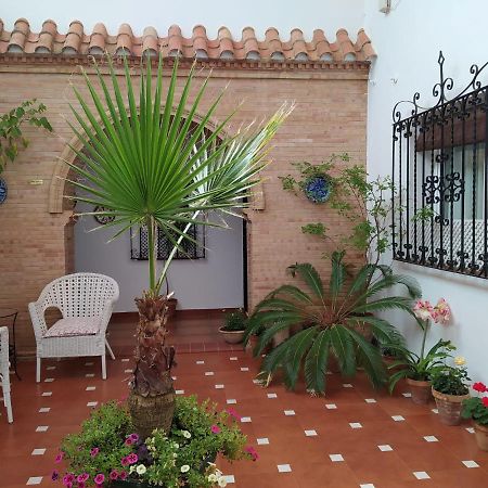 Hostal Andalucia Чипіона Екстер'єр фото